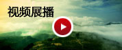视频展播